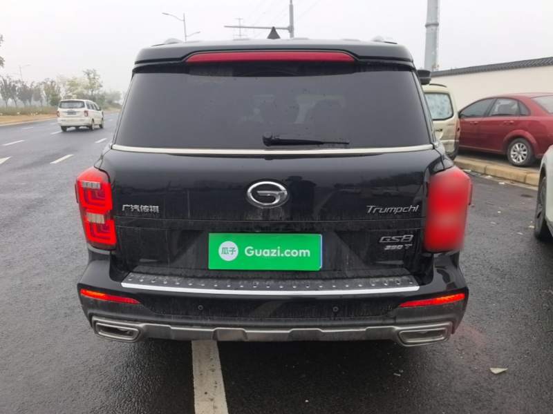 Used GAC Trumpchi GS8 2020 390T Two-Wheel Drive Luxury Smart Connectivity Version (7 Seats) — 5