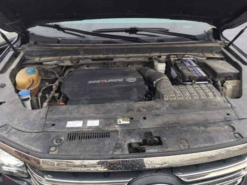 Used GAC Trumpchi GS8 2020 390T Two-Wheel Drive Luxury Smart Connectivity Version (7 Seats) — 19
