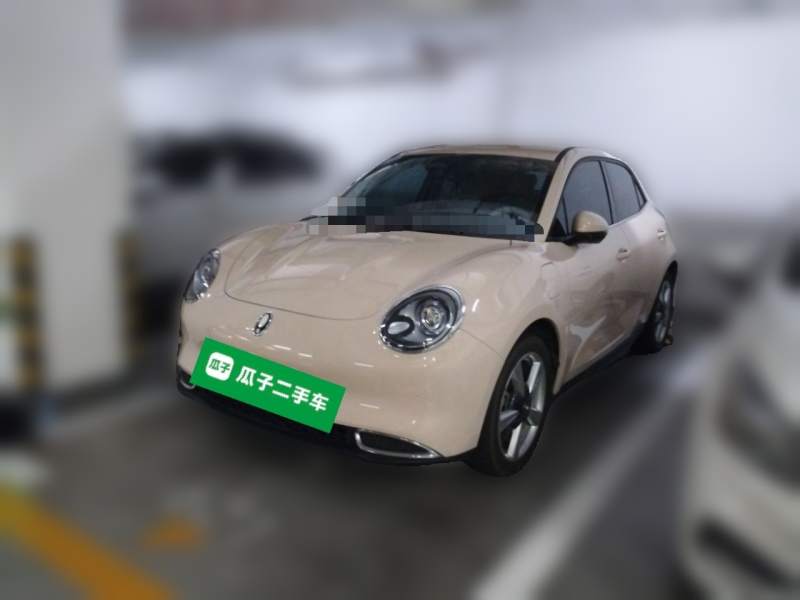 Used ORA Good Cat 2023 401 km Standard Range Luxury Version Lithium Iron Phosphate — 1
