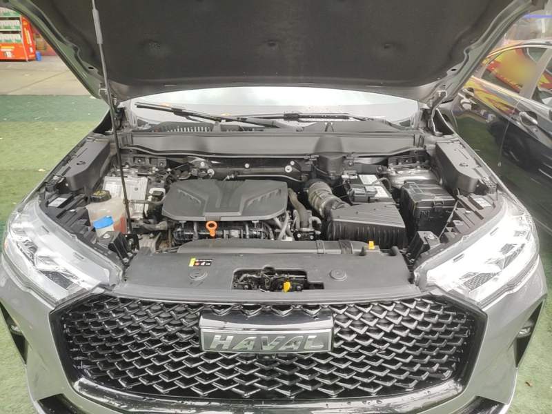 Used Haval H6 2021 3rd Generation 2.0T Automatic Two-Wheel Drive Max — 19