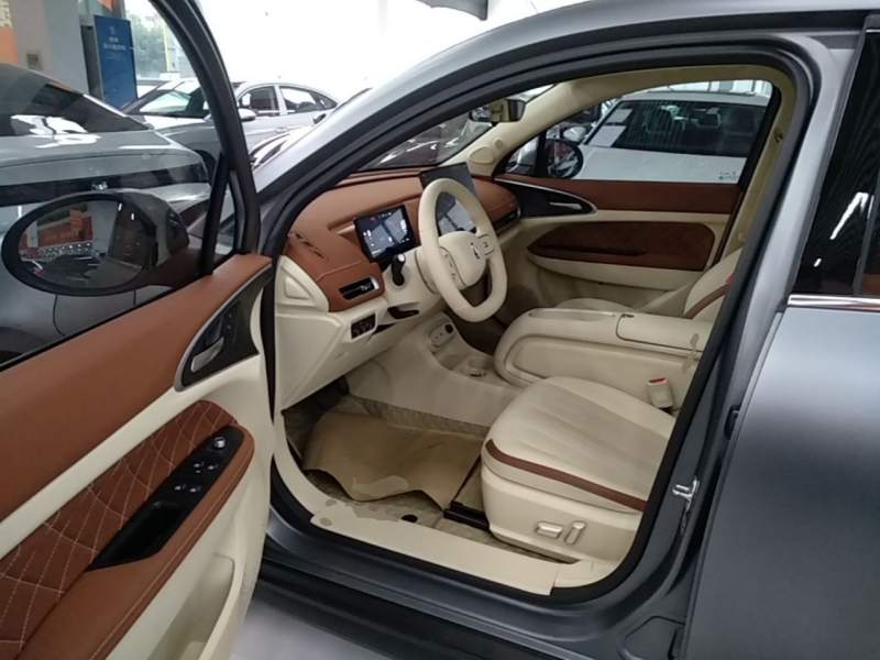 Used ORA Good Cat 2025 Model, 430 km Prestige Version — 14