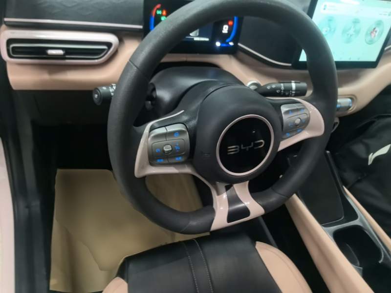 Used BYD Seagull 2025 305km Active Version — 10