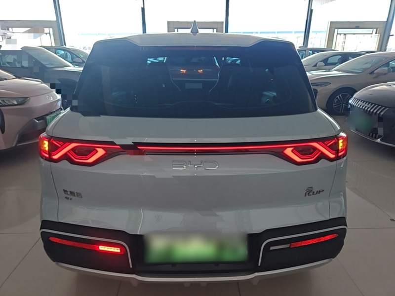Used BYD Yuan UP 2025 Model 301KM Leading Version — 5
