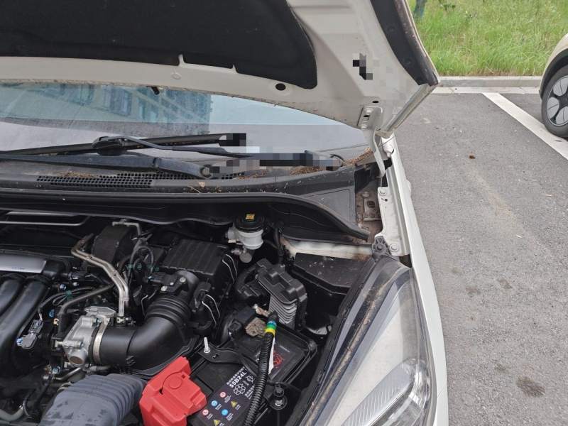Used Honda Fit 2021 1.5L CVT Trend Edition — 28