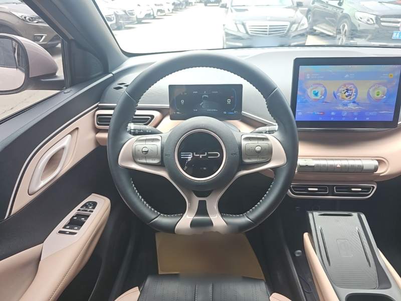 Used BYD Seagull 2023 Free Edition — 10