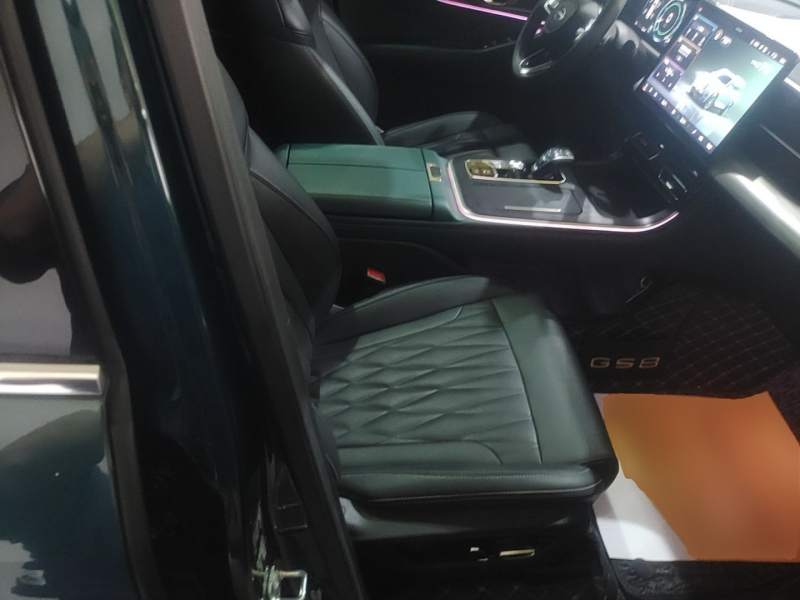 Used GAC Trumpchi GS8 2022 Linghang Series 2.0 TGDI Two-Wheel-Drive Luxury Smart Connectivity Version (7 Seats) — 24