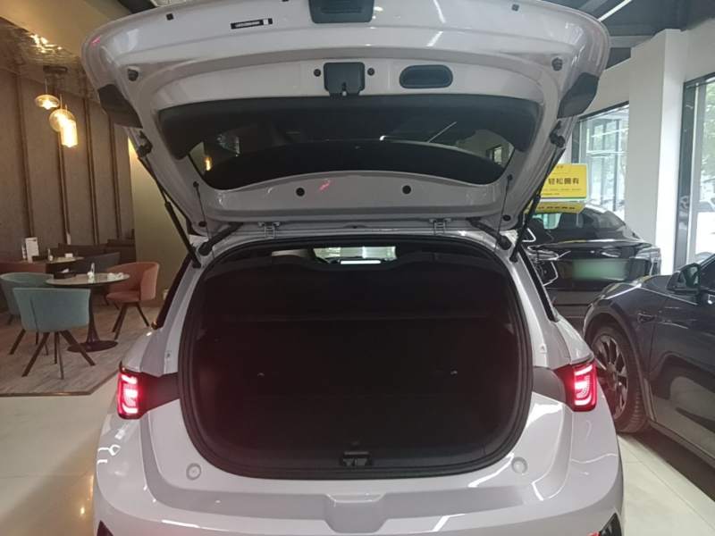 Used BYD Dolphin 2025 Intelligent Driving Version 410 km Fashion Edition — 18