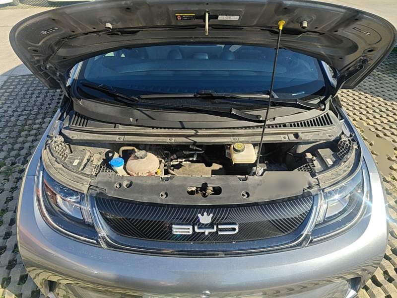 Used BYD Dolphin 2023 420 km Fashion Edition — 19