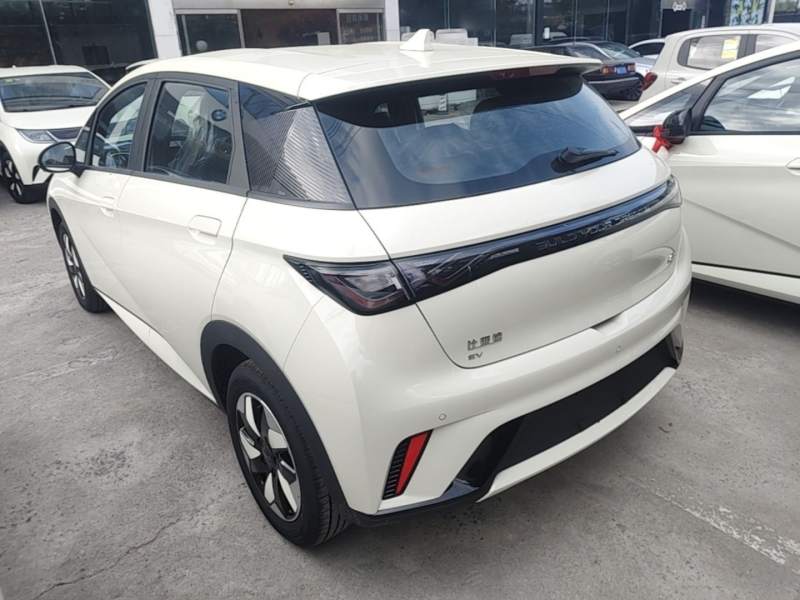 Used BYD Dolphin 2025 420km Free Edition — 4