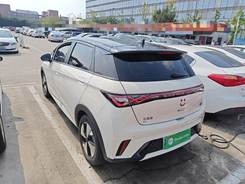 Used BYD Dolphin 2023 420 km Free Version — 4