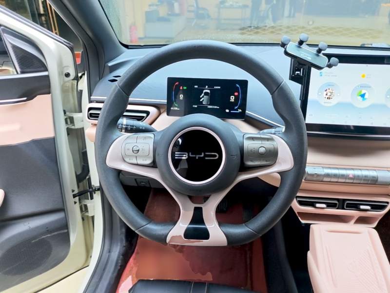 Used BYD Seagull 2024 Honor Edition 305km Dynamic Version — 10