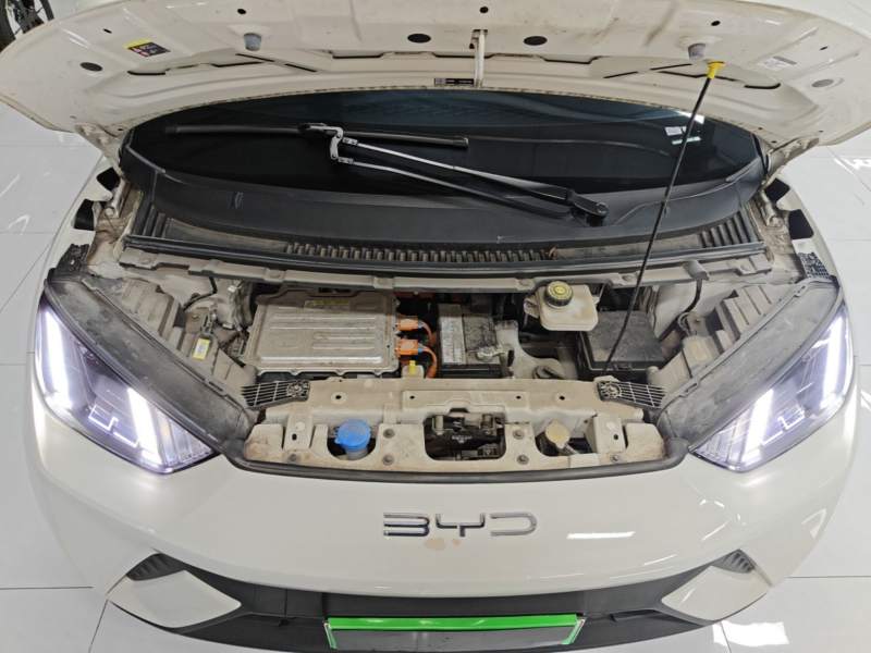 Used BYD Seagull 2023 Free Edition — 19