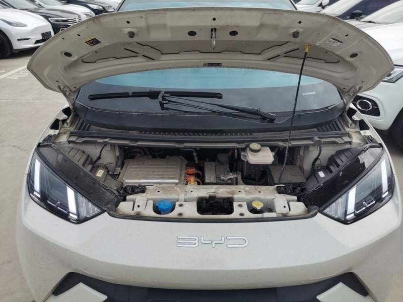 Used BYD Seagull 2023 Free Edition — 19