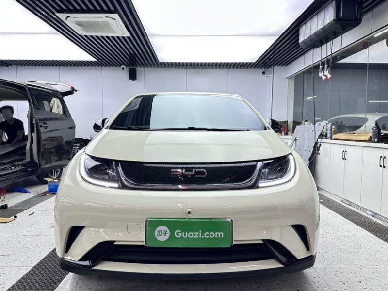 Used BYD Dolphin 2025 420km Free Edition — 28