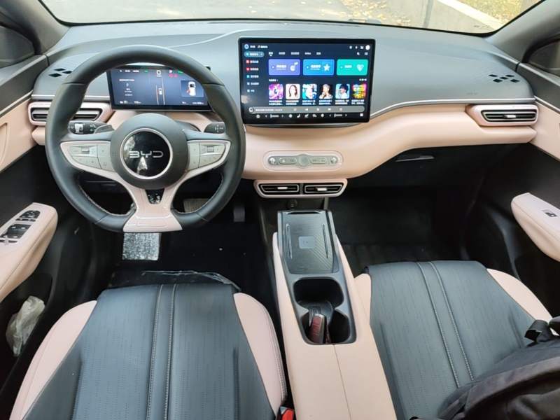 Used BYD Seagull 2025 Smart Drive Version 305 km Freedom Edition — 9