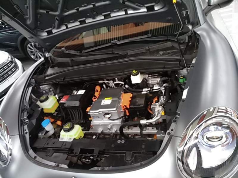 Used ORA Good Cat 2025 Model, 430 km Prestige Version — 19