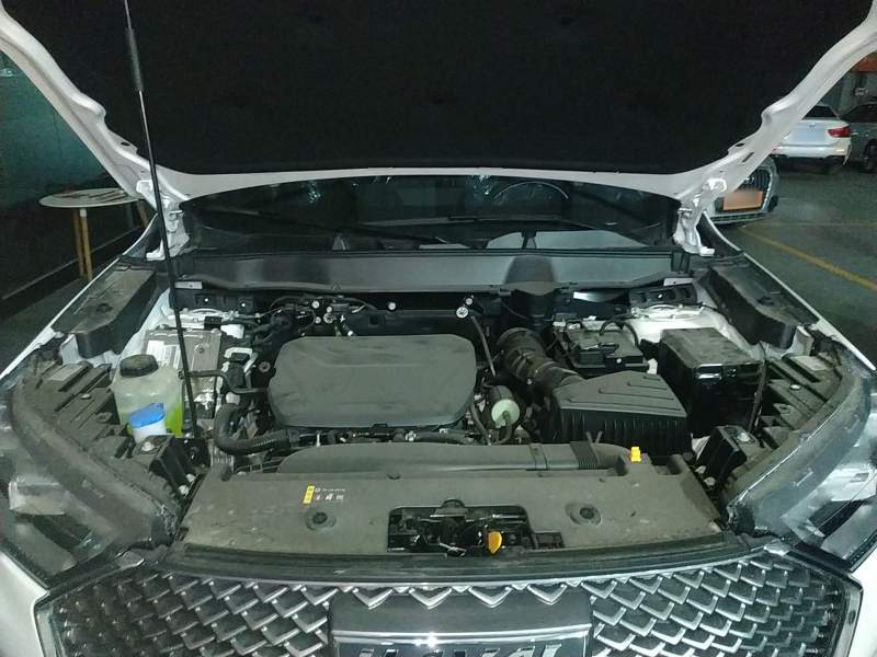 Used Haval H6 2024 1.5T Two-Wheel-Drive Classic Edition — 19