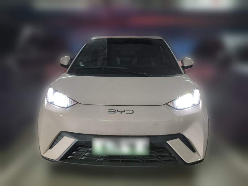 Used BYD Seagull 2024 Honor Edition 305km Freedom Version — 2