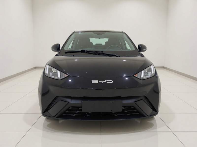 Used BYD Seagull 2023 Free Edition — 2