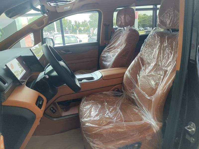 Used Wey Gaoshan 2025 Four-Wheel Drive Alpine 9 — 14