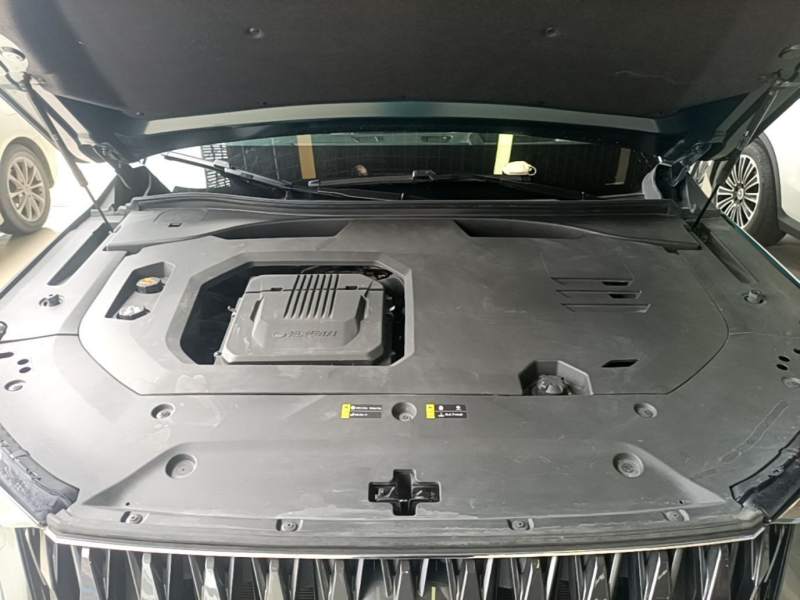 Used GAC Trumpchi GS8 2022 Dual-Engine Series 2.0TM Two-Wheel Drive Prestige Edition (7 Seats) — 19