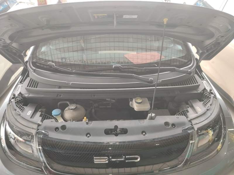 Used BYD Dolphin 2021 405 km Free Version — 19