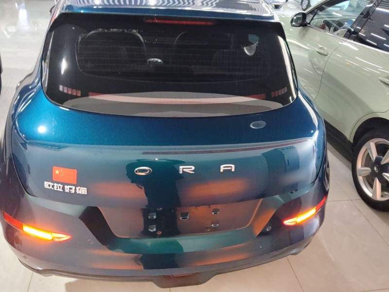 Used ORA Good Cat 2022 400km Standard Range Luxury Version Ternary Lithium — 5