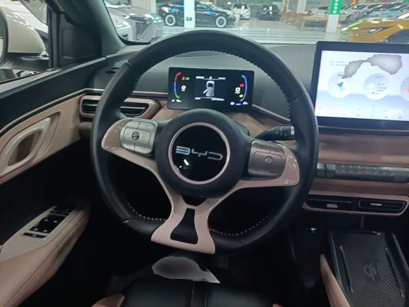 Used BYD Seagull 2023 Free Edition — 10