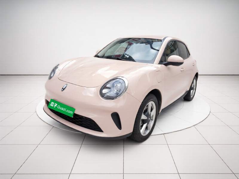 Used ORA Good Cat 2025 Model, 430 km Luxury Version