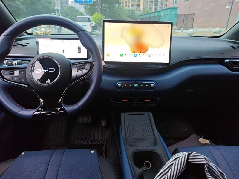 Used BYD Seagull 2025 Smart Drive Version 305 km Freedom Edition — 10