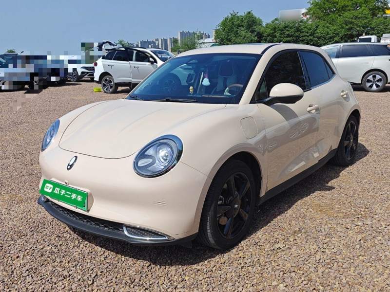Used ORA Good Cat 2024 401 km Luxury Version