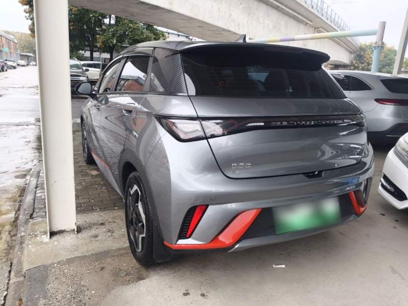 Used BYD Dolphin 2021 405 km Fashion Edition — 4