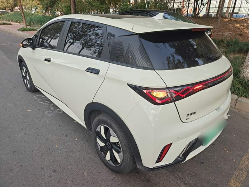 Used BYD Dolphin 2025 420km Fashion Edition — 4