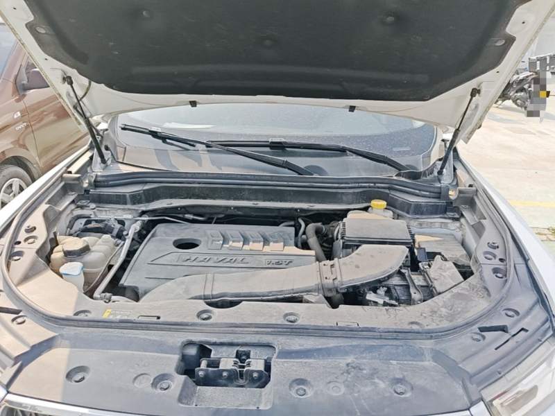 Used Haval H6 2021 1.5T Automatic Champion Edition — 19