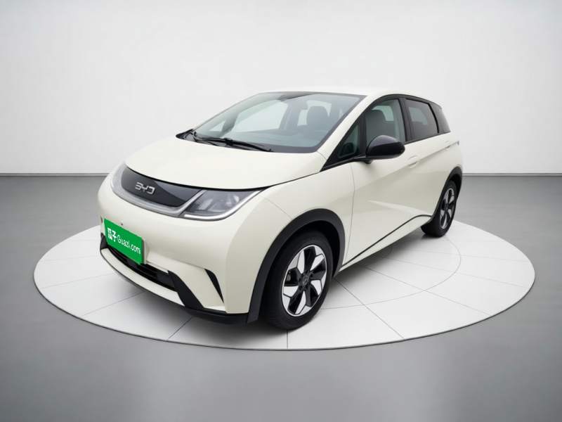 Used BYD Dolphin 2025 420km Free Edition — 1