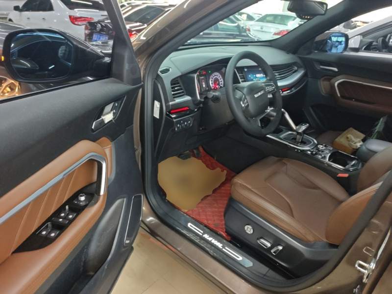 Used Haval H6 2017 Red Label 2.0T Automatic Two-Wheel Drive ZhiShang Model — 15