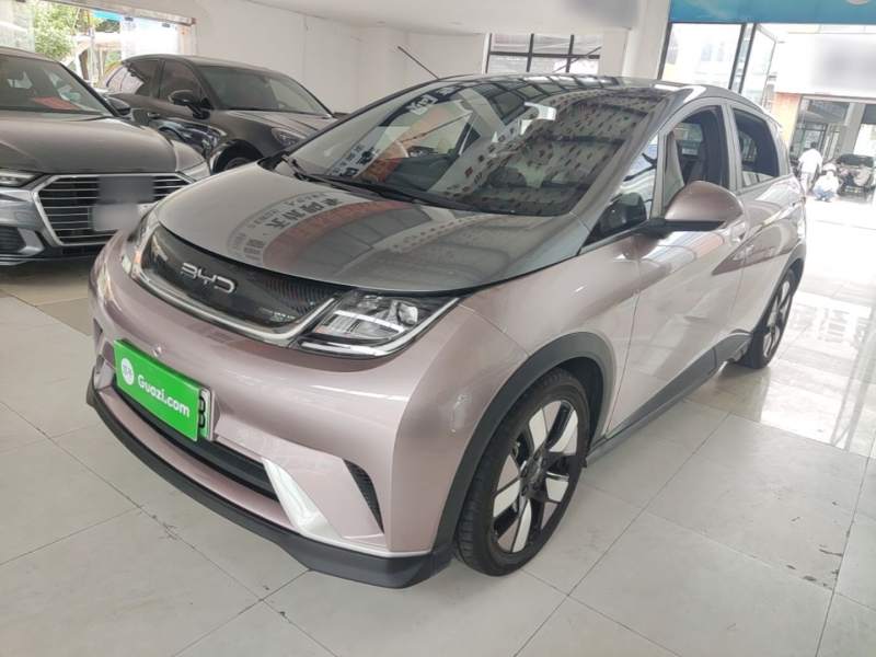 Used BYD Dolphin 2021 401km Knight Edition — 1