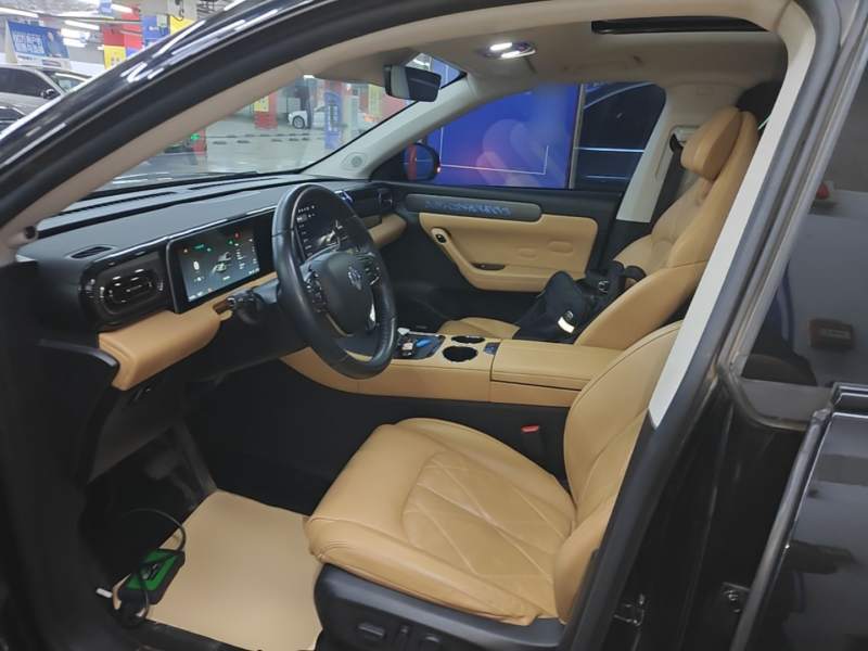 Used Leapmotor C11 2024 All-Electric 580 Luxury Edition — 14
