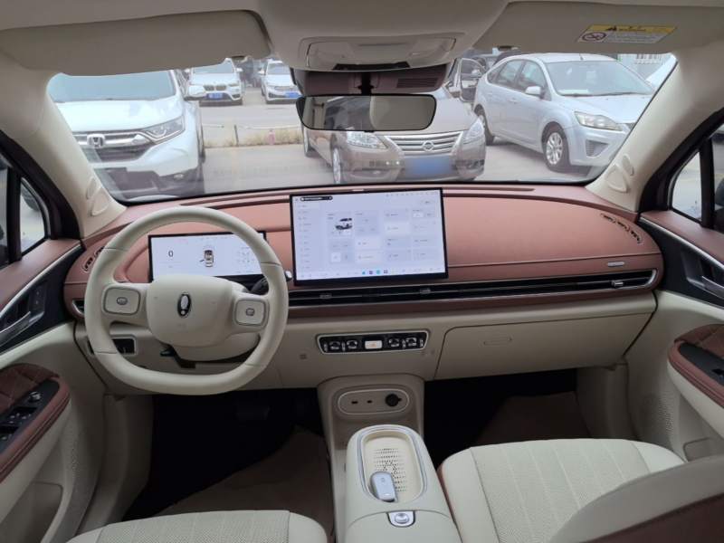 Used ORA Good Cat 2025 Model, 430 km Prestige Version — 9