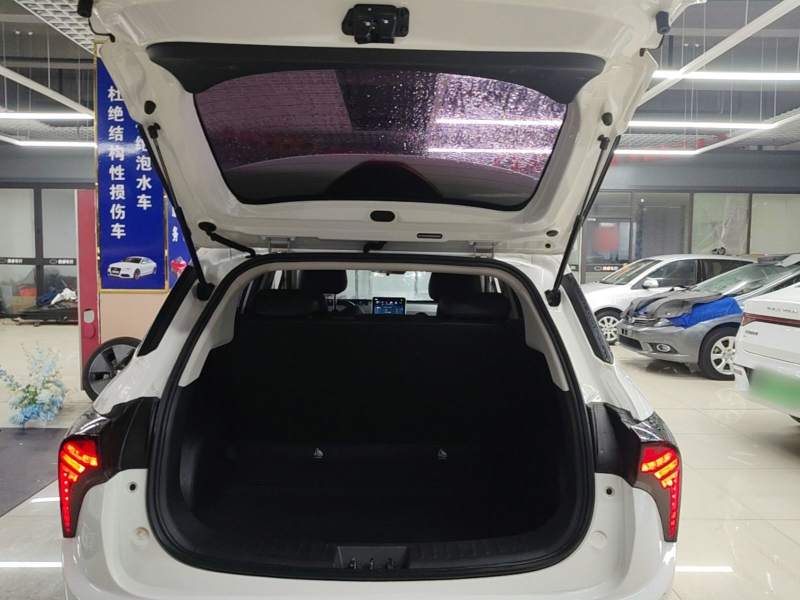 Used NETA V 2022 Long-Range Industry Custom Edition — 18