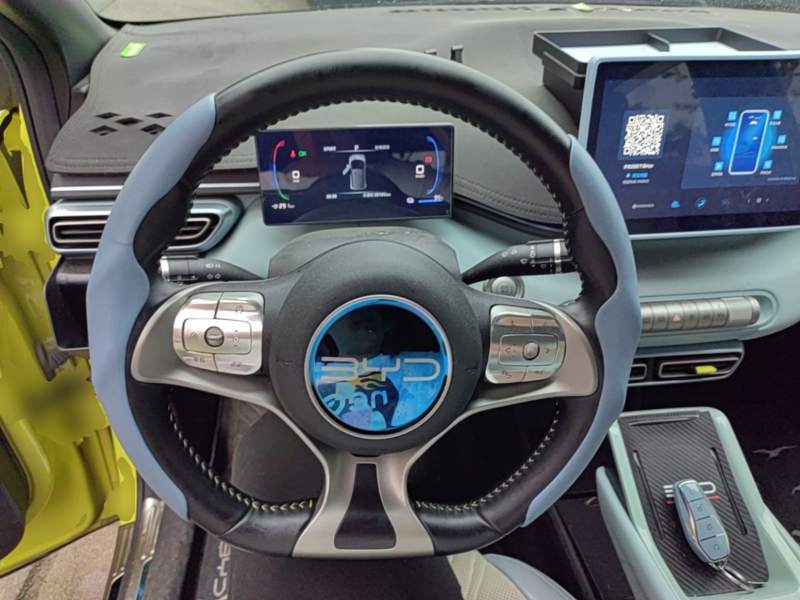 Used BYD Seagull 2023 Free Edition — 10
