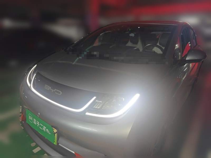 Used BYD Dolphin 2021 405 km Free Version