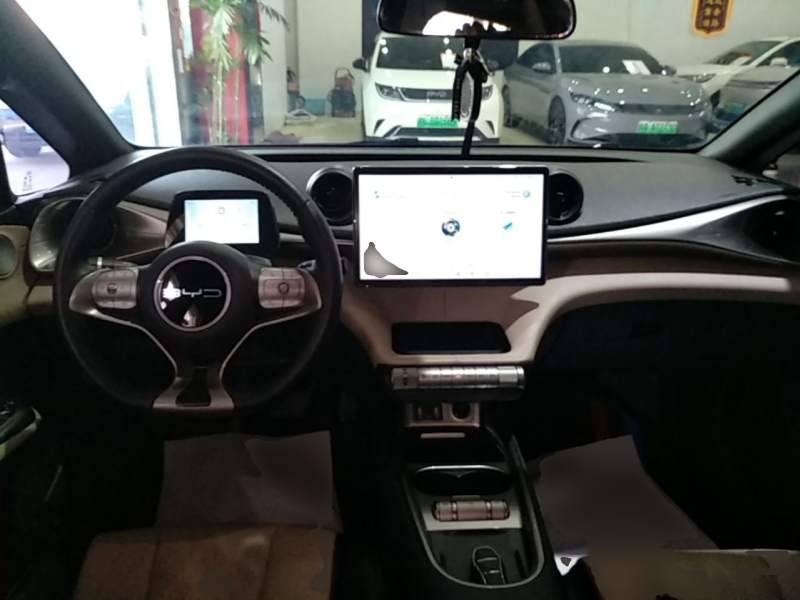 Used BYD Dolphin 2023 420 km Fashion Edition — 9