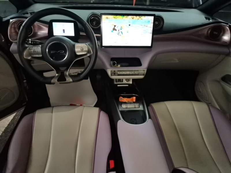 Used BYD Dolphin 2021 405 km Fashion Edition — 9