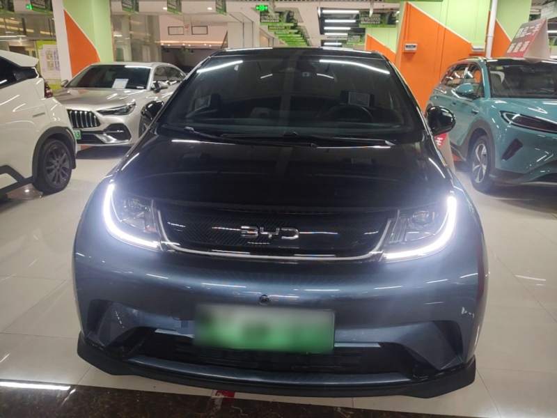 Used BYD Dolphin 2025 520km Range Knight Edition — 2