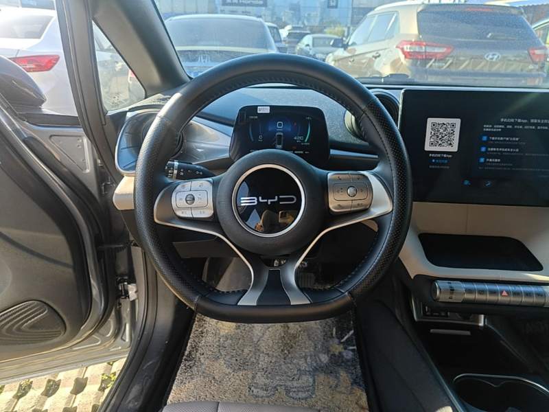 Used BYD Dolphin 2023 420 km Fashion Edition — 10