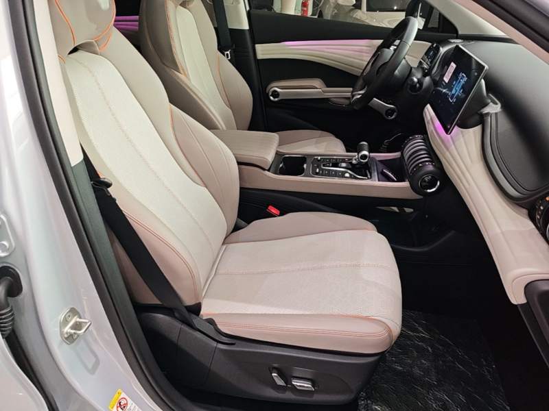 Used BYD Yuan PLUS 2023 Champion Edition 510KM Superior Model — 24