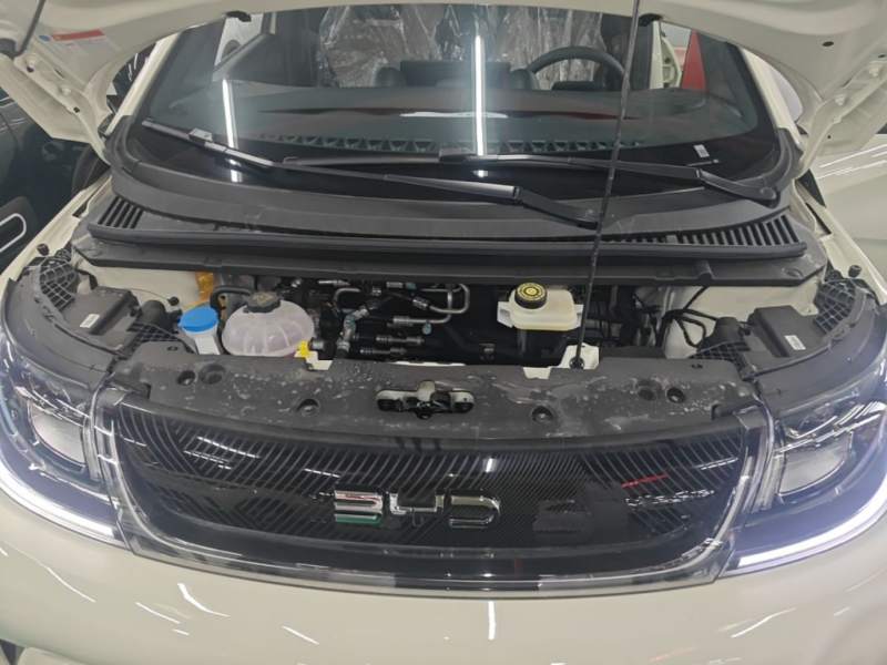 Used BYD Dolphin 2025 420km Free Edition — 19