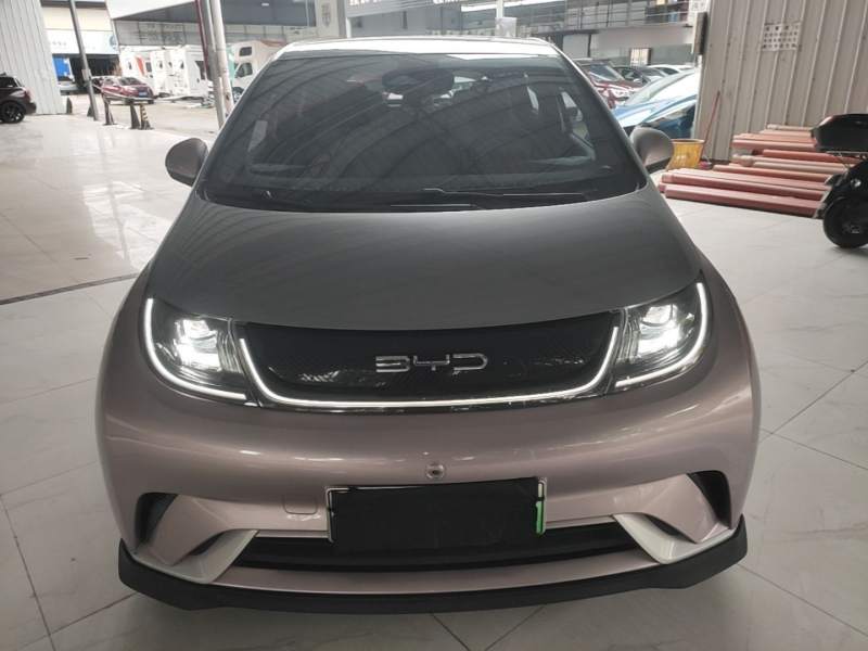 Used BYD Dolphin 2021 401km Knight Edition — 2