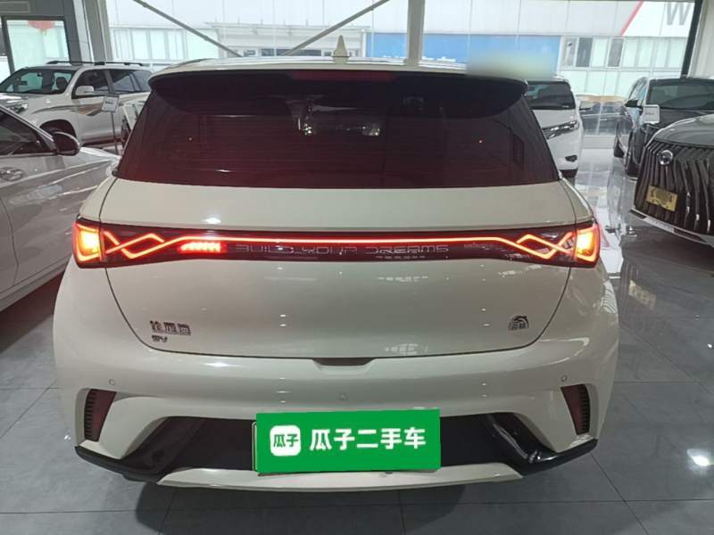 Used BYD Dolphin 2021 405 km Fashion Edition — 5